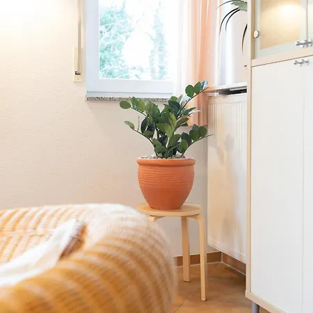 Haus Duenenwald 06 - Auf Der Duene * צינוביץ